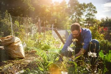 Why is gardening good | David Domoney | Miracle Gro