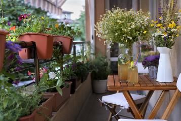 Gardenless gardens - Love The Garden