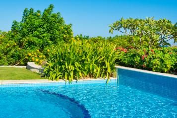 Aménager sa piscine avec des plantes 