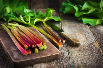 How to grow and care for rhubarb