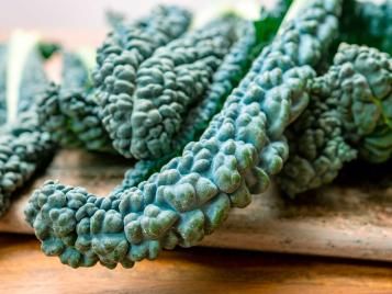 Cavolo Nero salad leaves closeup[