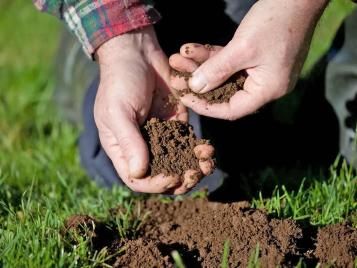 Checking soil quality