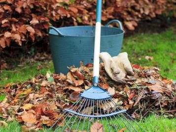 Clearing autumn leaves manually