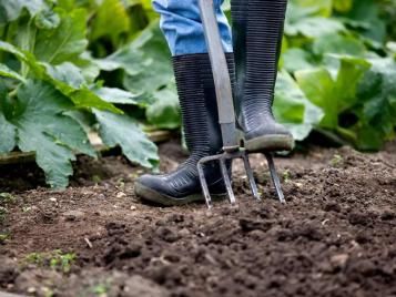 Digging in to improve soil quality