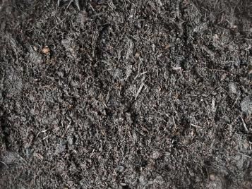 Ericaceous compost closeup