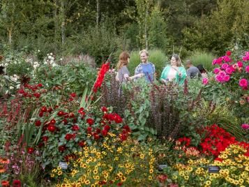 Floral Fantasia flowerbeds
