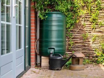 Use a water butt to collect rain water