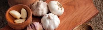 Harvesting garlic