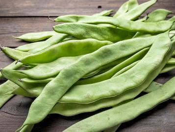 Harvesting runner beans