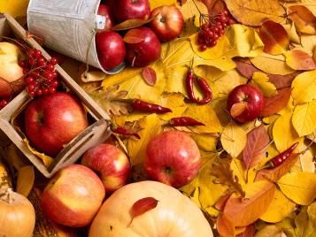 Harvestime of crops in October