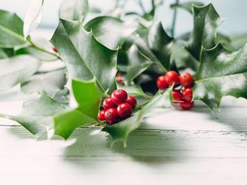 Holly and berries Christmas decorations