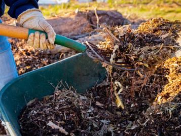 Homemade mulch for gardening