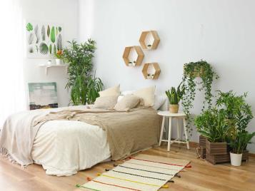 Houseplants provide serenity in a bedroom