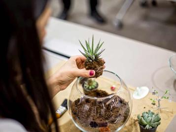 Terrarium adding plants