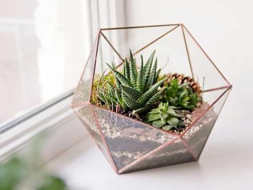 There are many different styles of terrarium available