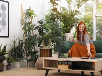 Style your indoor jungle