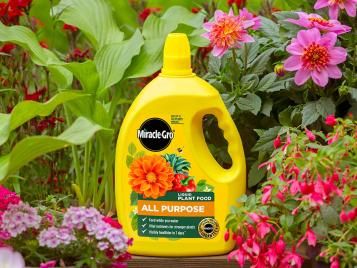Miracle-Gro Plant Food Liquid - All Purpose