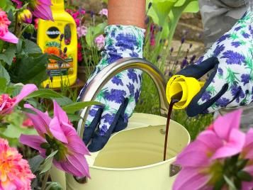 All Purpose Liquid Plant Food