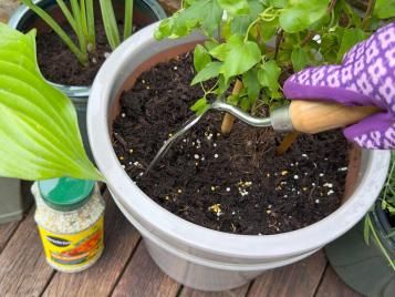 Slow Release Plant Food Grnaules