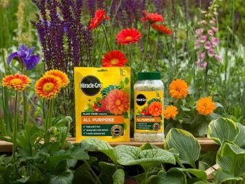 Miracle-Gro All Purpose Granular Plant Foods are perfect for feeding flower borders