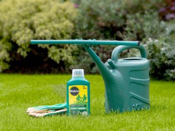 Fast Green Liquid Concentrate lawn food