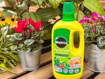Miracle-Gro Pour & Feed Ready To Use Plant Food