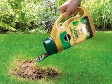 Miracle-Gro Patch Magic for lawn patch repairs