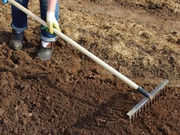 Raking in top soil and preparing ground for turfing