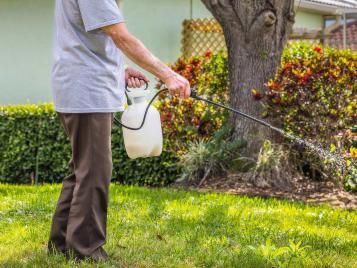 Using a pressure sprayer to treat flowerbeds
