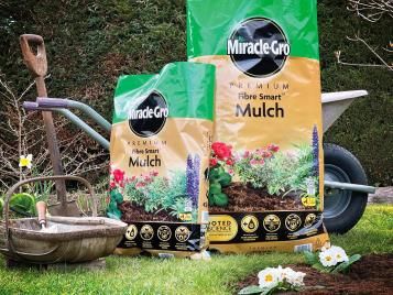 Use a mulch to protect plants in winter