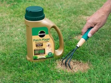 Miracle-Gro Patch Magic Dog Spot Repair