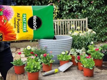 Using peat free compost for potting up