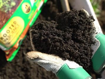 Using peat free compost in your garden