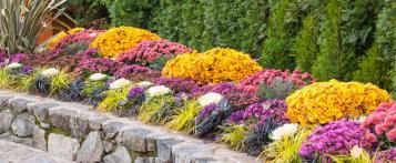 10 exemples d’aménagements de jardins avant pour vous inspirer  I Love My Garden