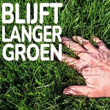 Substral Allround graszaad blijft langer groen