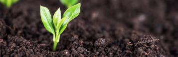 lovethegarden | debco saturaid