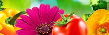 Miracle Grow banner