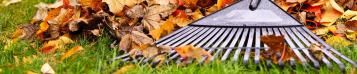 Image for Unser Gartenkalender-Ratgeber für den Oktober 
