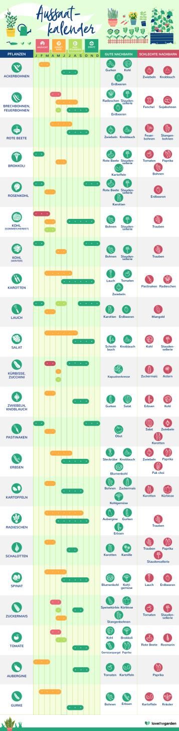 Aussaatkalender für Gemüse