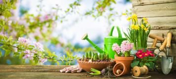 Newsletter