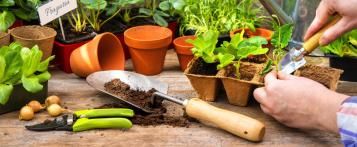 Merci de votre participation - Love the garden