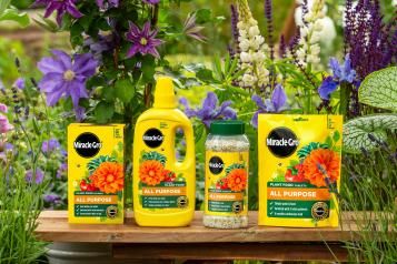 Miracle-Gro All Purpose Plant Foods showing guarantee