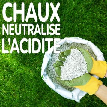 Substral Naturen Chaux Neutralise l'acidité