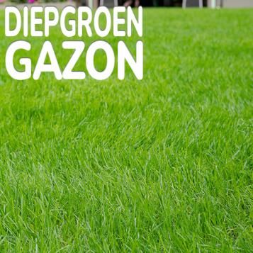 Substral Greenmax gazonmeststof zorgt voor een diepgroen gazon