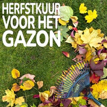 Substral Biofert gazonmeststof herfstkuur voor het gazon