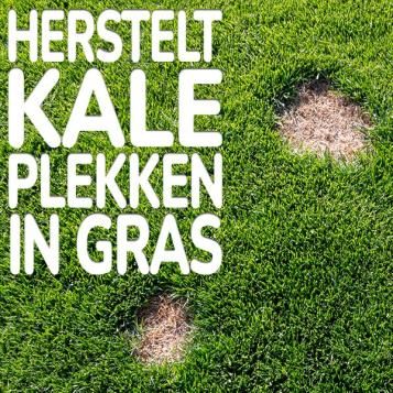 Substral gazonherstel 2 in 1 herstelt uw kale plekken