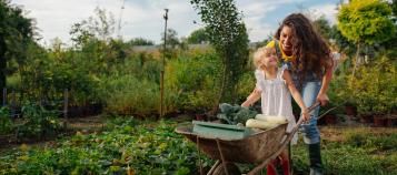 La Pause Jardin | automne