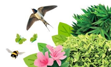 A Guide to Garden Wildlife