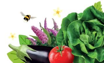 Garden care