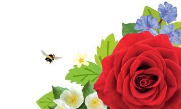 Garden Design Tips and Ideas